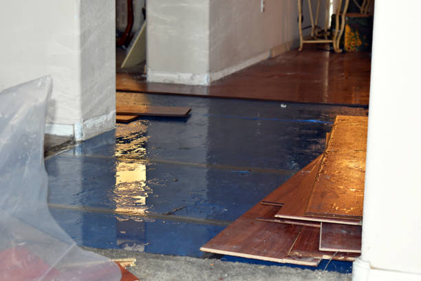 Professional Burst Pipe Cleanup technician working in Williston, FL
