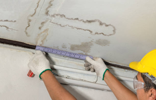 Reliable Burst Pipe Cleanup contractor in Williston, FL by Water Damage Irwin